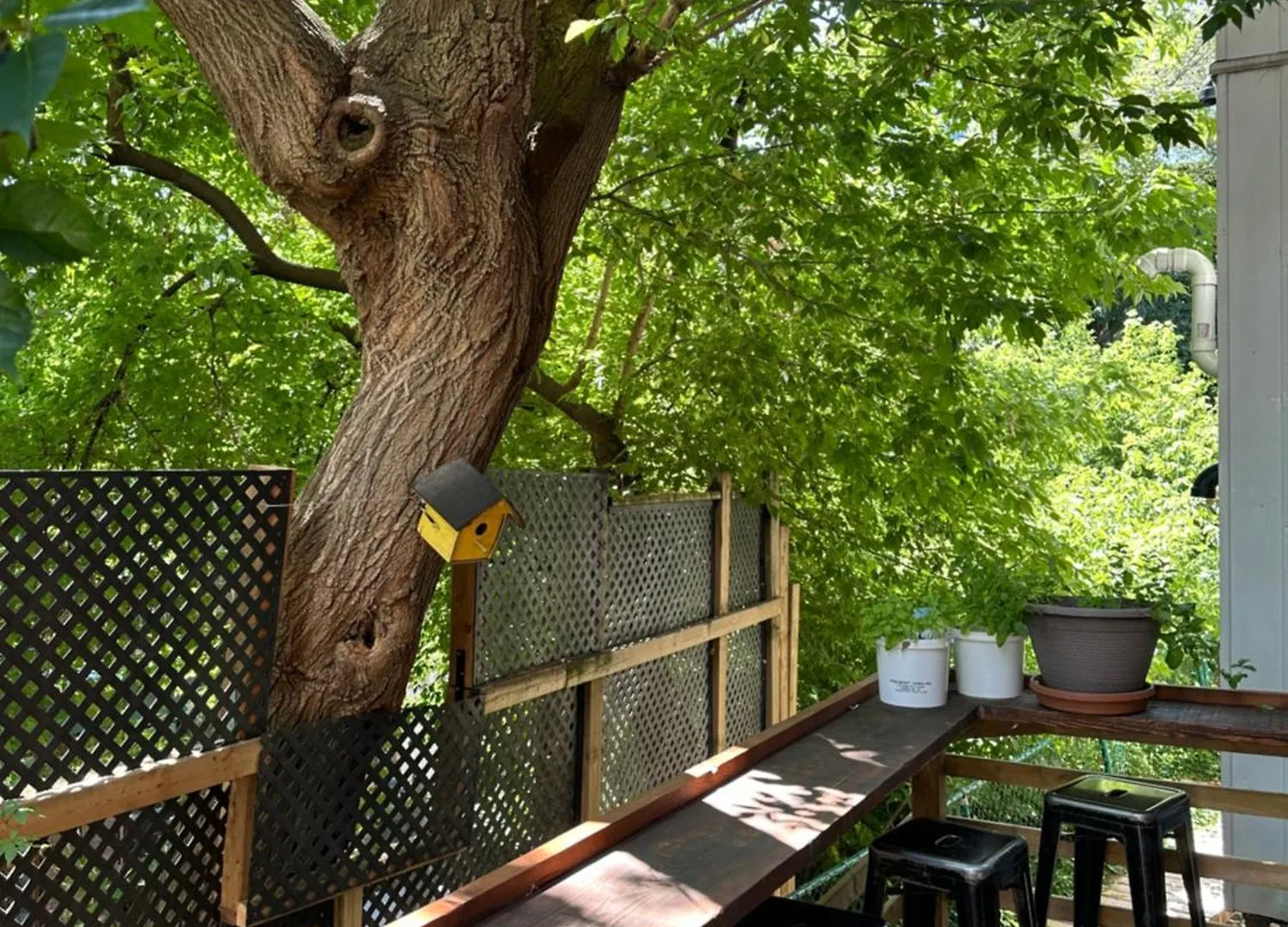 Auberge Saintlo Montreal Hostel 캐나다